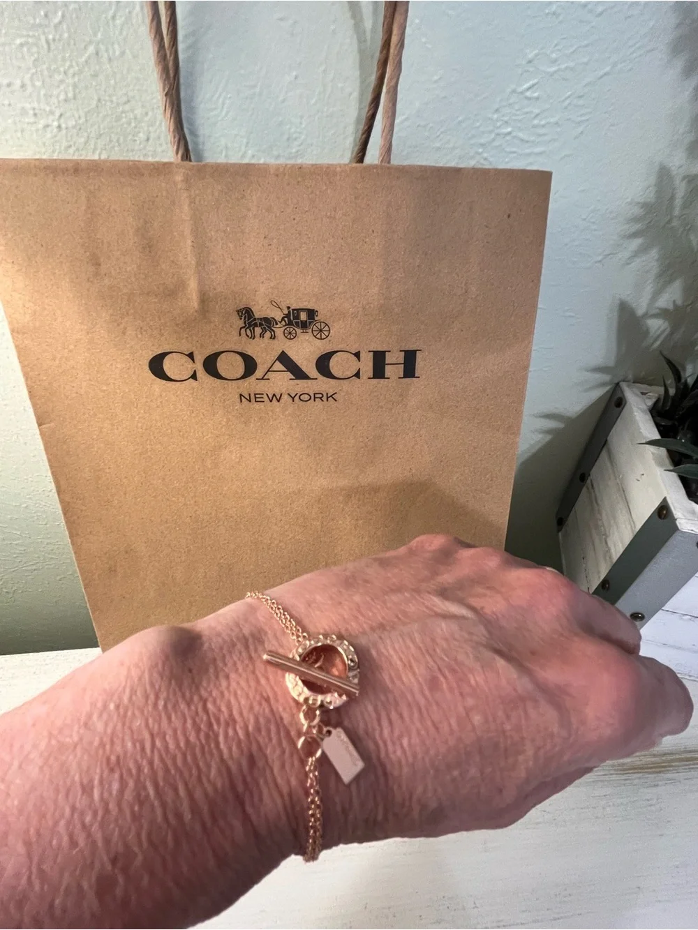 Coach rose gold